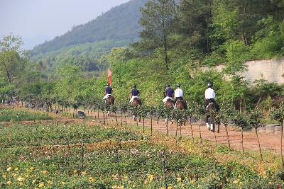 中国山水四项.2017金华金东乡村绿道马拉松