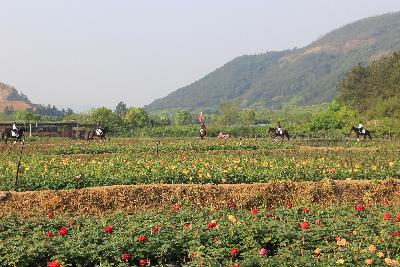 中国山水四项.2017金华金东乡村绿道马拉松