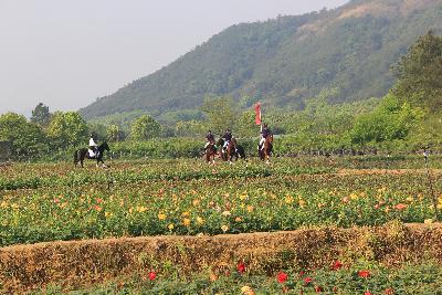 中国山水四项.2017金华金东乡村绿道马拉松
