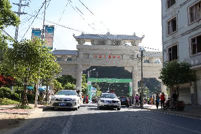 遂昌县第四届职工运动会绿跑