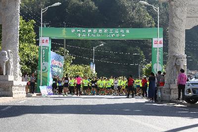 遂昌县第四届职工运动会绿跑