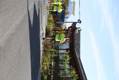 遂昌县第四届职工运动会绿跑