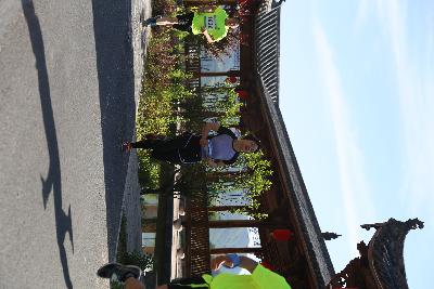遂昌县第四届职工运动会绿跑
