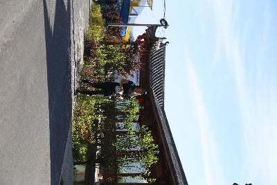 遂昌县第四届职工运动会绿跑