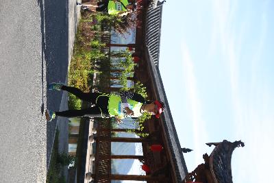 遂昌县第四届职工运动会绿跑