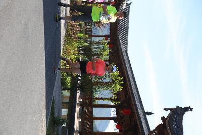 遂昌县第四届职工运动会绿跑