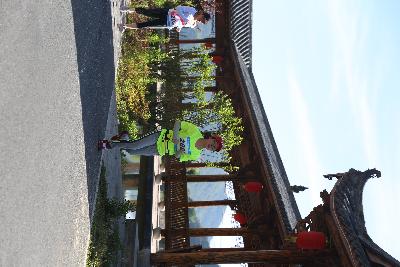 遂昌县第四届职工运动会绿跑