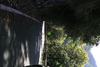 遂昌县第四届职工运动会绿跑