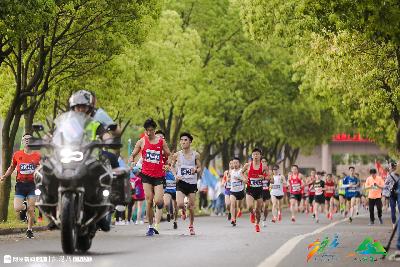 2019金东绿道·浙江马拉松团体赛