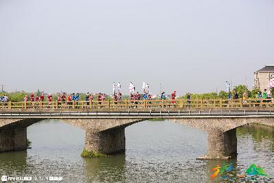 2019金东绿道·浙江马拉松团体赛