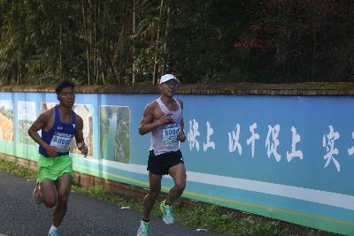 2024金东绿道·浙江马拉松团体赛