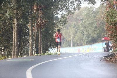 2024金东绿道·浙江马拉松团体赛