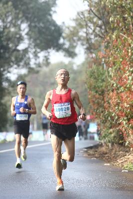 2024金东绿道·浙江马拉松团体赛