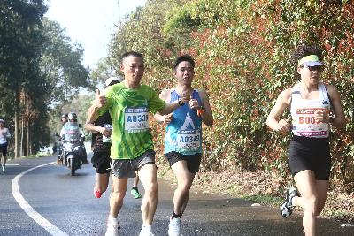 2024金东绿道·浙江马拉松团体赛