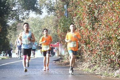 2024金东绿道·浙江马拉松团体赛