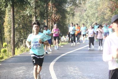 2024金东绿道·浙江马拉松团体赛