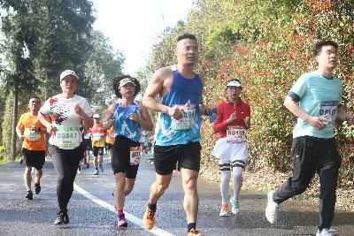 2024金东绿道·浙江马拉松团体赛