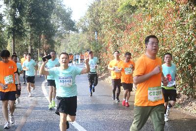 2024金东绿道·浙江马拉松团体赛