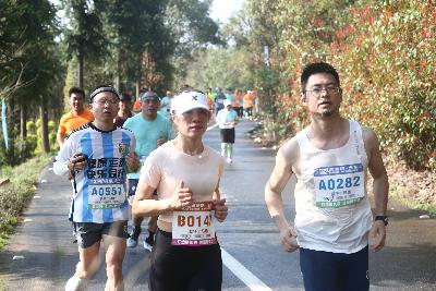 2024金东绿道·浙江马拉松团体赛