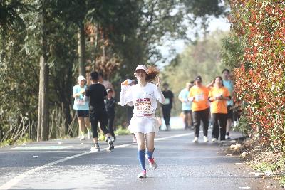 2024金东绿道·浙江马拉松团体赛