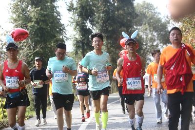 2024金东绿道·浙江马拉松团体赛