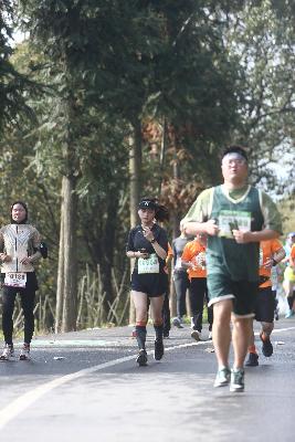 2024金东绿道·浙江马拉松团体赛