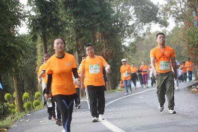 2024金东绿道·浙江马拉松团体赛