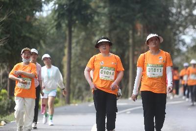 2024金东绿道·浙江马拉松团体赛
