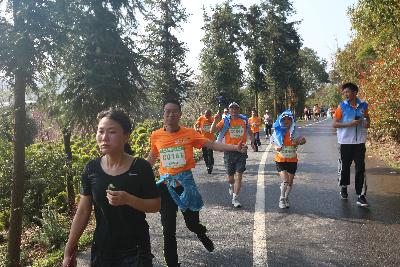 2024金东绿道·浙江马拉松团体赛