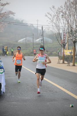 2024金东绿道·浙江马拉松团体赛