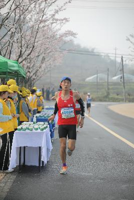 2024金东绿道·浙江马拉松团体赛