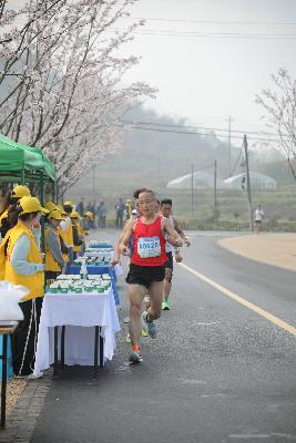 2024金东绿道·浙江马拉松团体赛