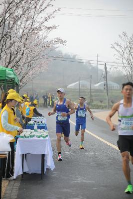 2024金东绿道·浙江马拉松团体赛
