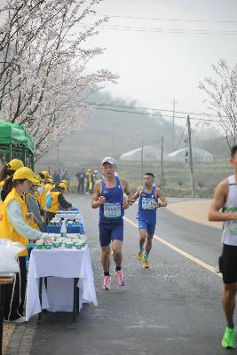2024金东绿道·浙江马拉松团体赛