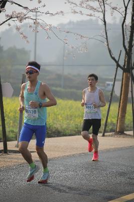 2024金东绿道·浙江马拉松团体赛