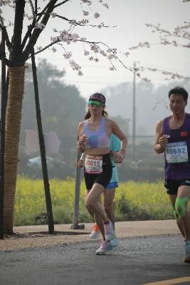 2024金东绿道·浙江马拉松团体赛