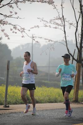 2024金东绿道·浙江马拉松团体赛