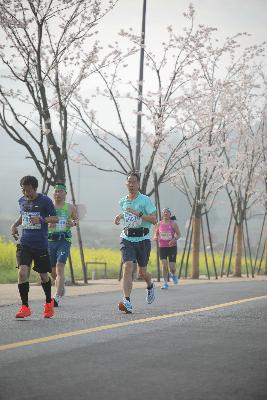 2024金东绿道·浙江马拉松团体赛