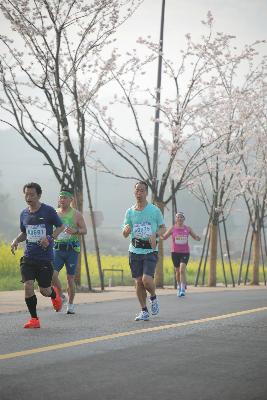 2024金东绿道·浙江马拉松团体赛