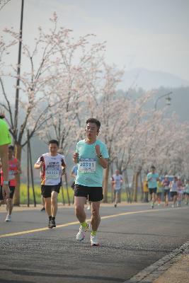 2024金东绿道·浙江马拉松团体赛