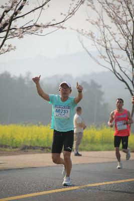 2024金东绿道·浙江马拉松团体赛