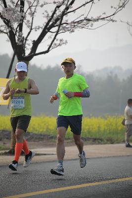 2024金东绿道·浙江马拉松团体赛