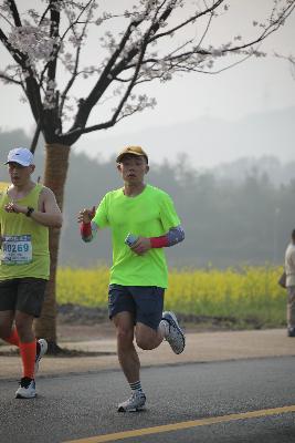 2024金东绿道·浙江马拉松团体赛