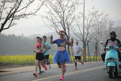 2024金东绿道·浙江马拉松团体赛