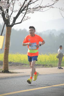 2024金东绿道·浙江马拉松团体赛