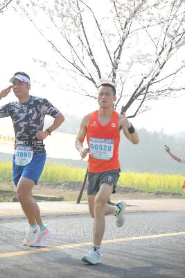 2024金东绿道·浙江马拉松团体赛