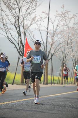 2024金东绿道·浙江马拉松团体赛