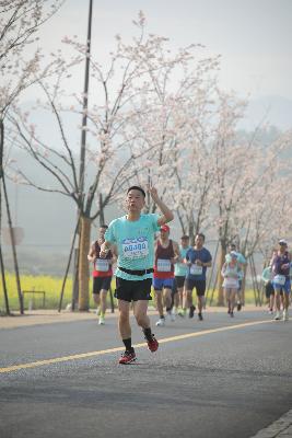 2024金东绿道·浙江马拉松团体赛
