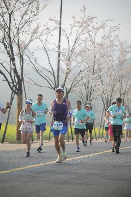 2024金东绿道·浙江马拉松团体赛