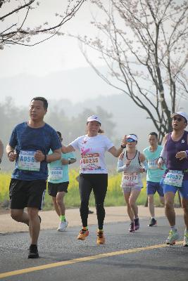 2024金东绿道·浙江马拉松团体赛